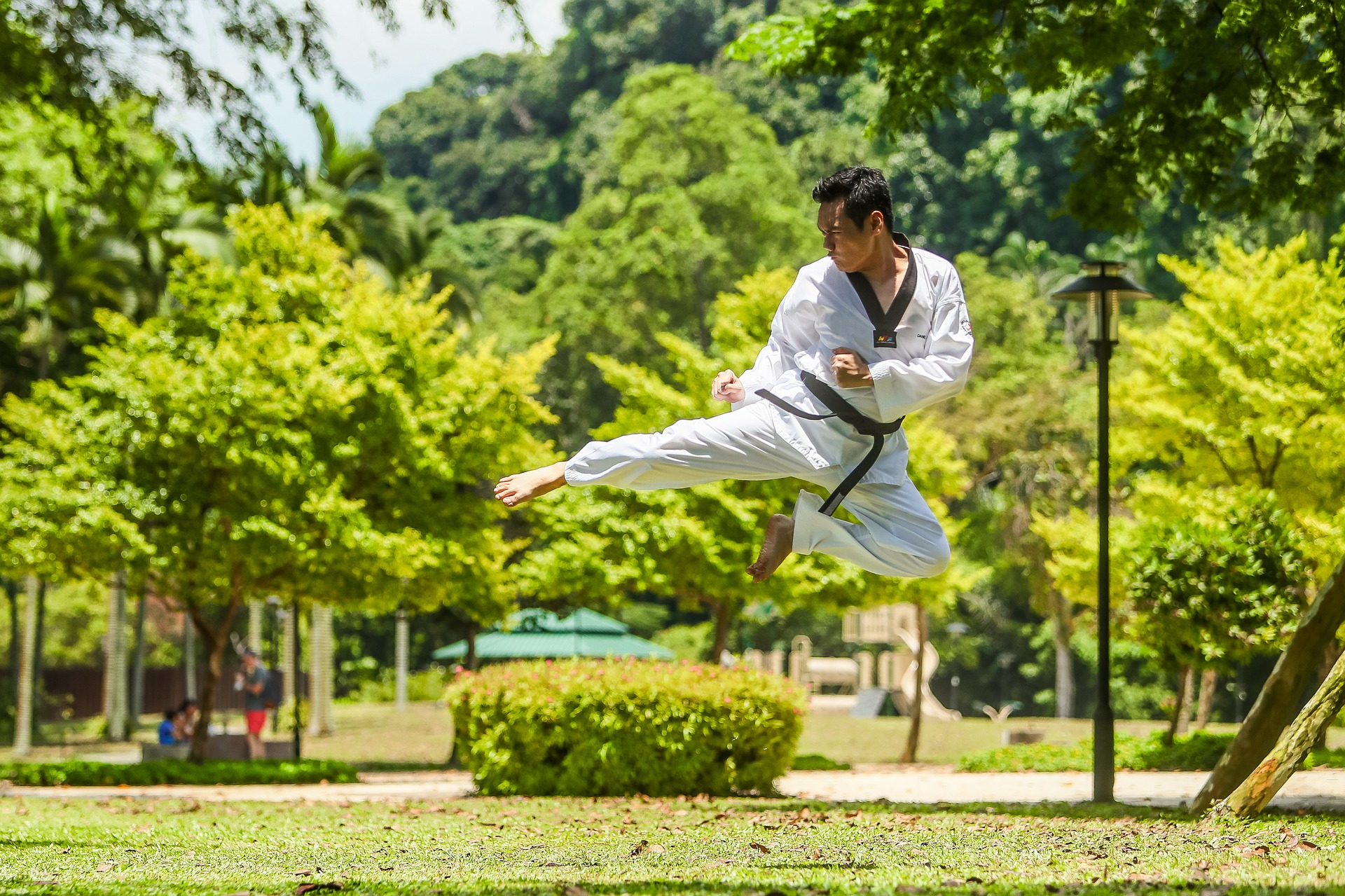 11-best-martial-arts-for-real-life-situations-and-fitness-stocks-review