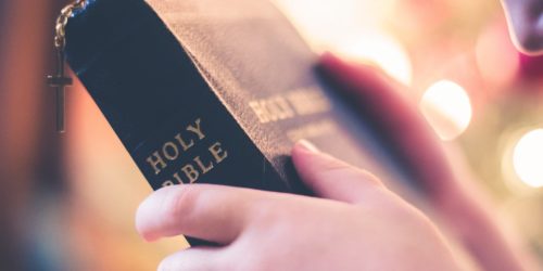 5 Best and Most Accurate Bible Translations According to Scholars