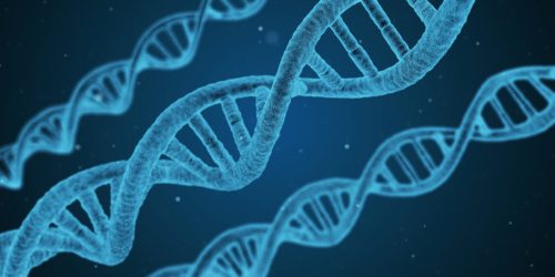 10 Uncommon Genetic Mutations in Humans